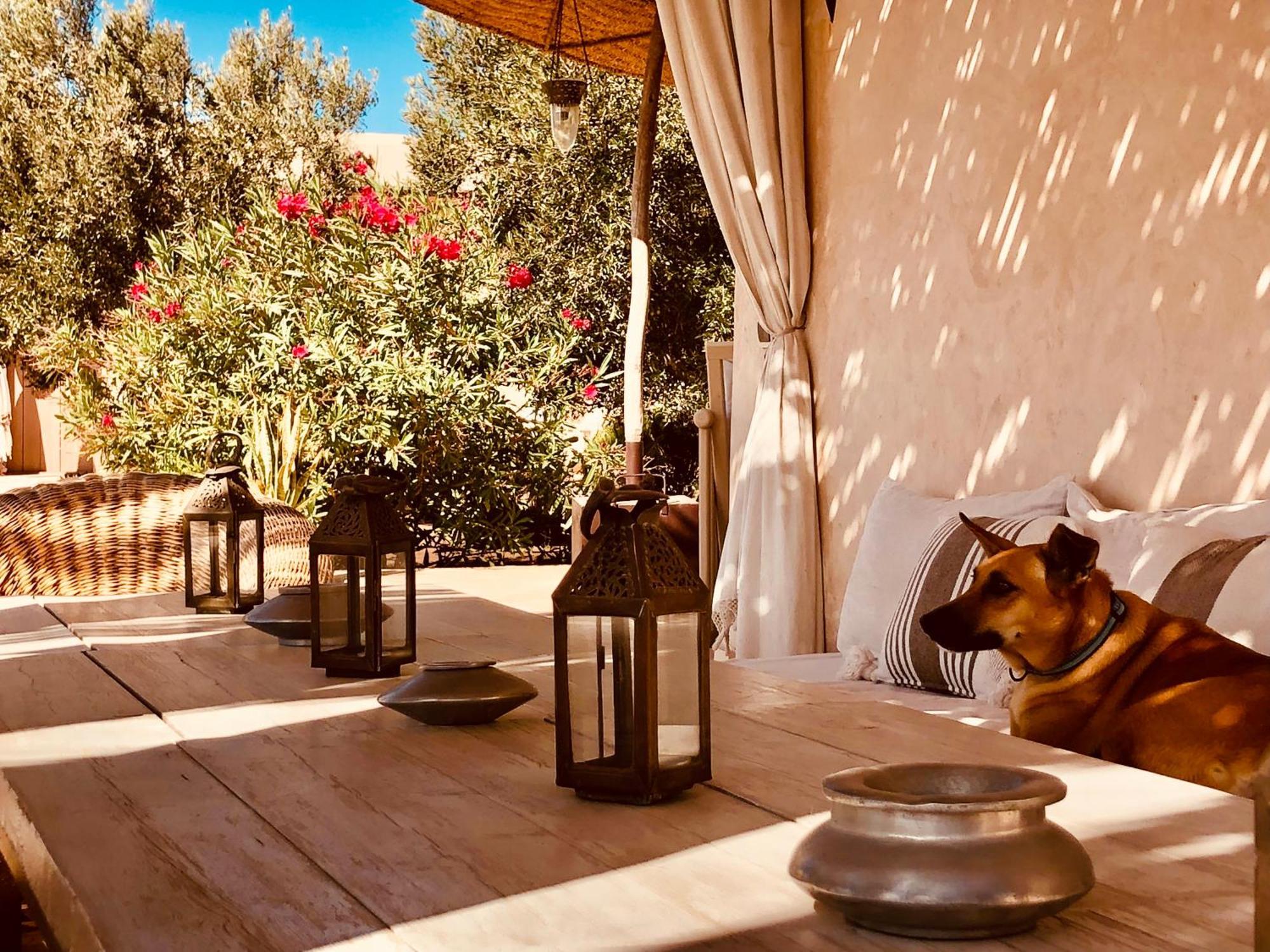 Dar Alya Essaouira Maison Et Table D'Hotes Al Ghar Esterno foto