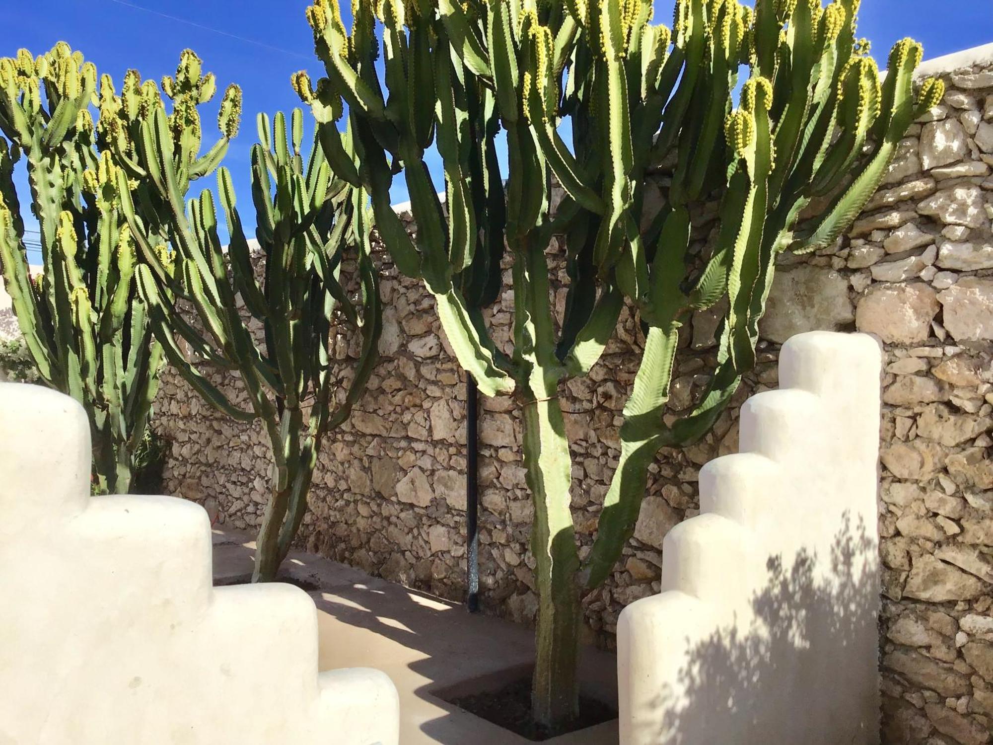 Dar Alya Essaouira Maison Et Table D'Hotes Al Ghar Esterno foto